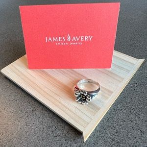 COPY - James Avery Retired
